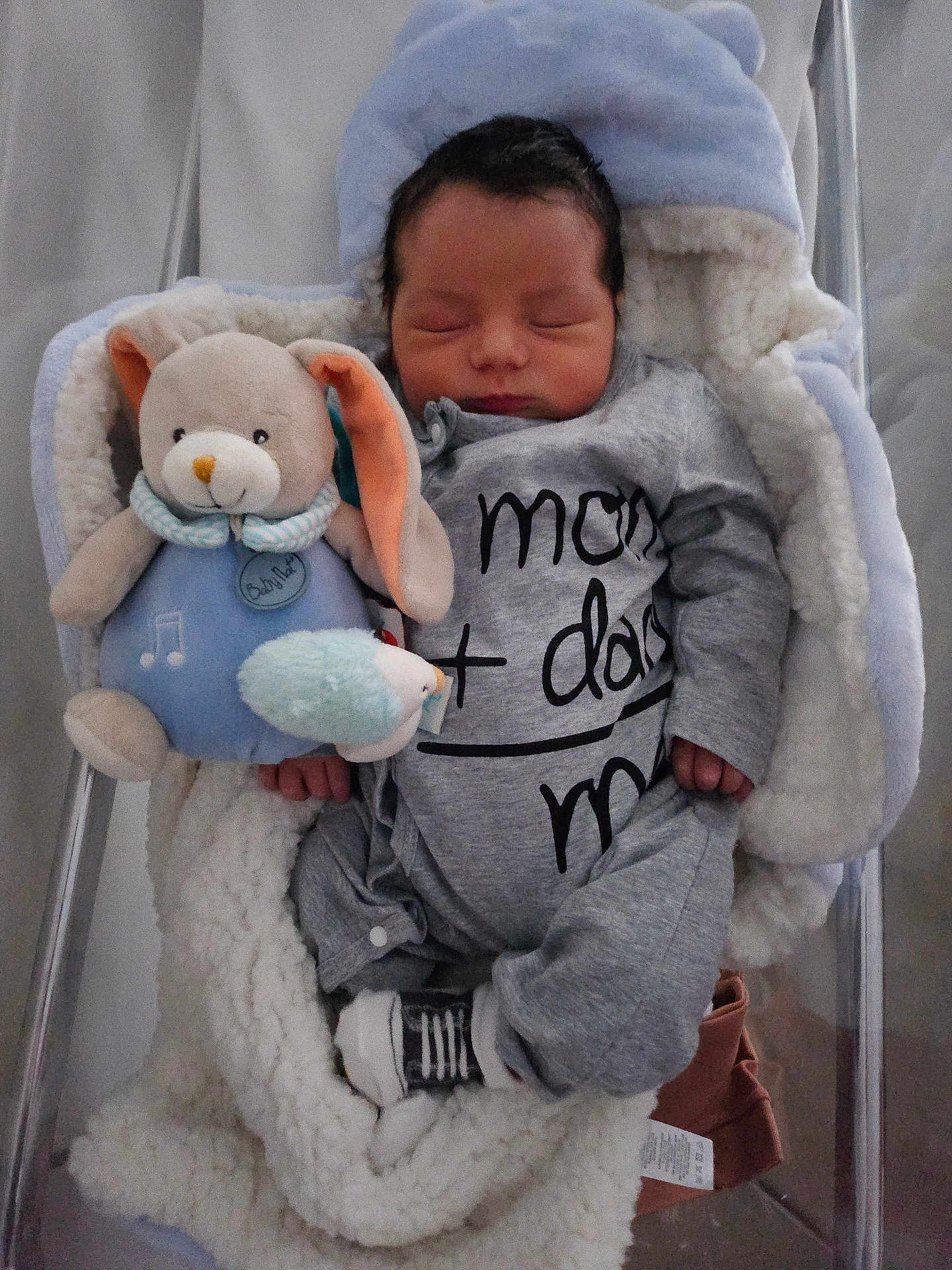 Malik participe au concours pour gagner de l'argent avec cette photo : baby, newborn, sleeping, plush_toy, stuffed_animal, onesie, baby_carrier, blanket, soft_toy, cuddly, infant, cute, cozy, child, face, resting, indoors, toy, peaceful, clothing