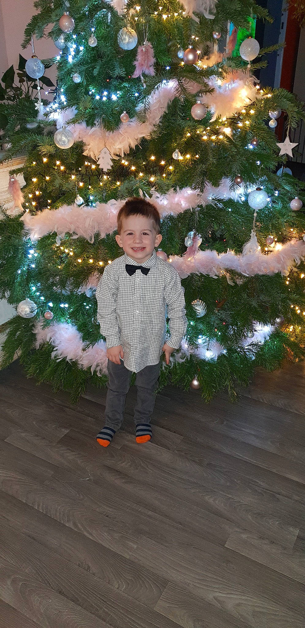 Steve a rejoint le concours — aidez-le/la à gagner de superbes lots ! branch, child, christmas, christmas_decoration, christmas_eve, christmas_lights, christmas_ornament, christmas_tree, conifer, fir, holiday, interior_design, joy, person, pine, pine_family, plant, standing, toddler, tree