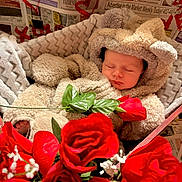 Gage is registered to the contest to win money with this photo: baby, sleeping, bear_costume, blanket, roses, red_flowers, flower_bouquet, newspaper, heart_drawings, cozy, cute, infant, soft_toy, portrait, resting, indoor, closeup, adorable, child, peaceful