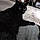 Sylvester