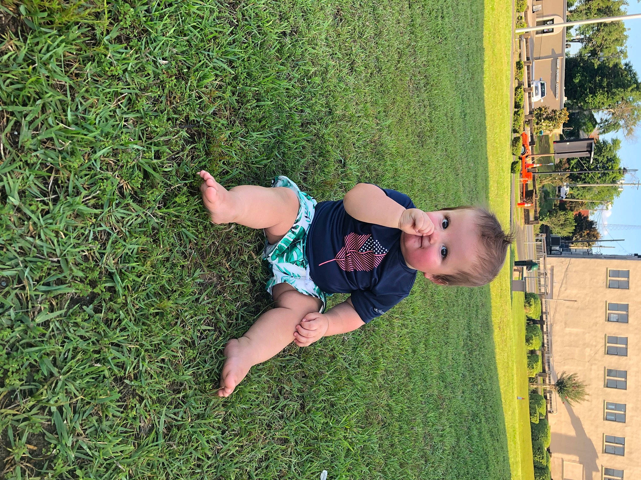 Gabe is registered to the contest to win money with this photo: baby, child, fun, grass, grass_family, grassland, happy, landscape, lawn, leg, leisure, nature, people_in_nature, person, plant, recreation, shrub, sky, toddler, tree