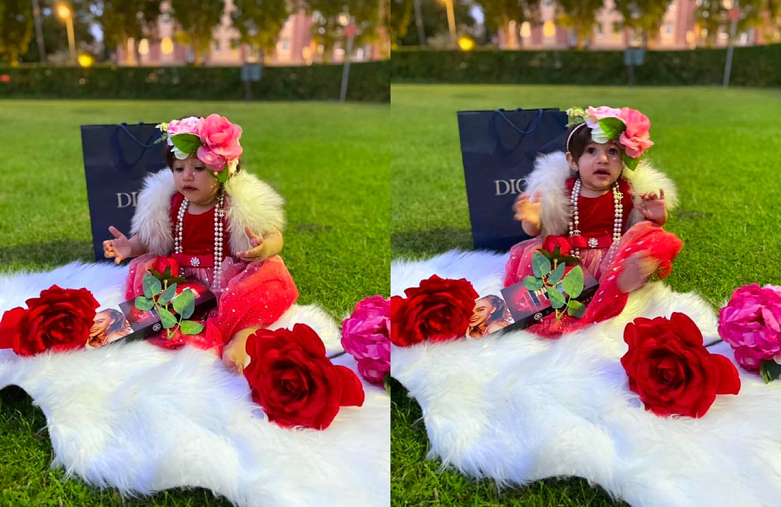 Melek participe au concours pour gagner de l'argent avec cette photo : botany, bouquet, dress, fashion, flower, flower_arranging, garden_roses, grass, happy, headwear, hybrid_tea_rose, magenta, person, petal, pink, plant, recreation, red, rose, rose_family