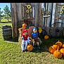 child, children, pumpkins, pumpkin_patch, hay_bale, costumes, outdoors, grass, wooden_wall, sunflower, wagon_wheel, barrel, autumn, fall_decor, smiling, sitting, portrait, seasonal_display, welcome_sign, family_event