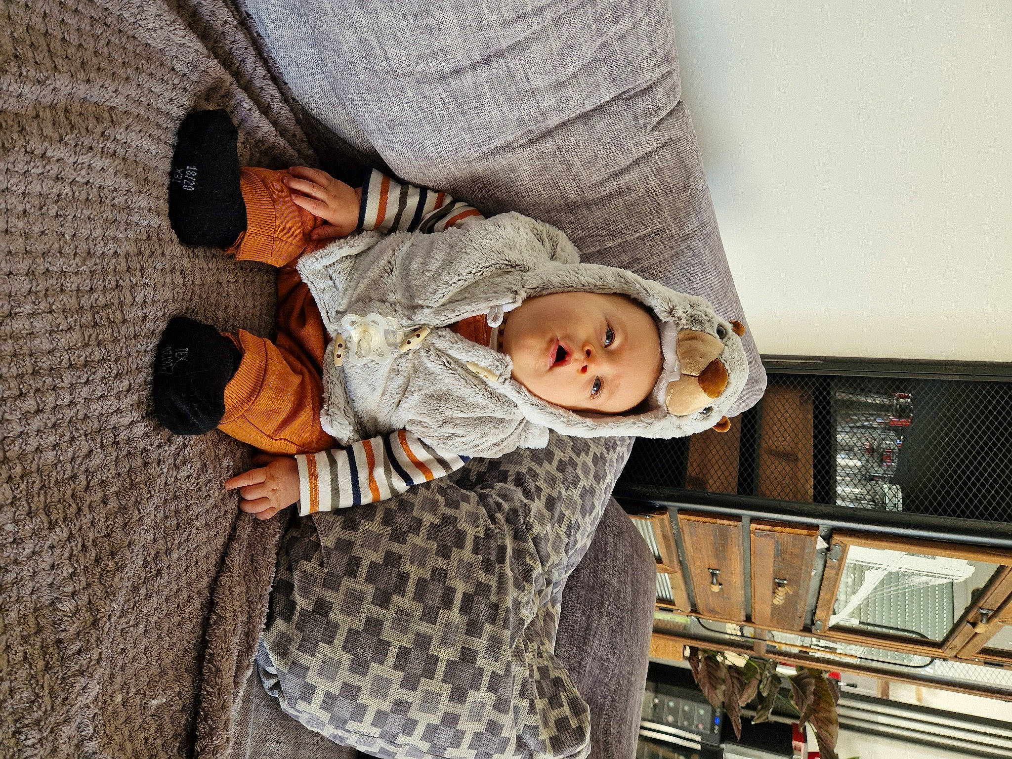 Ezio participe au concours pour gagner de l'argent avec cette photo : baby, baby_products, baby_toddler_clothing, child, comfort, flooring, fun, mammal, nap, pattern, person, play, room, sitting, sleep, sleeve, toddler, tree, wood