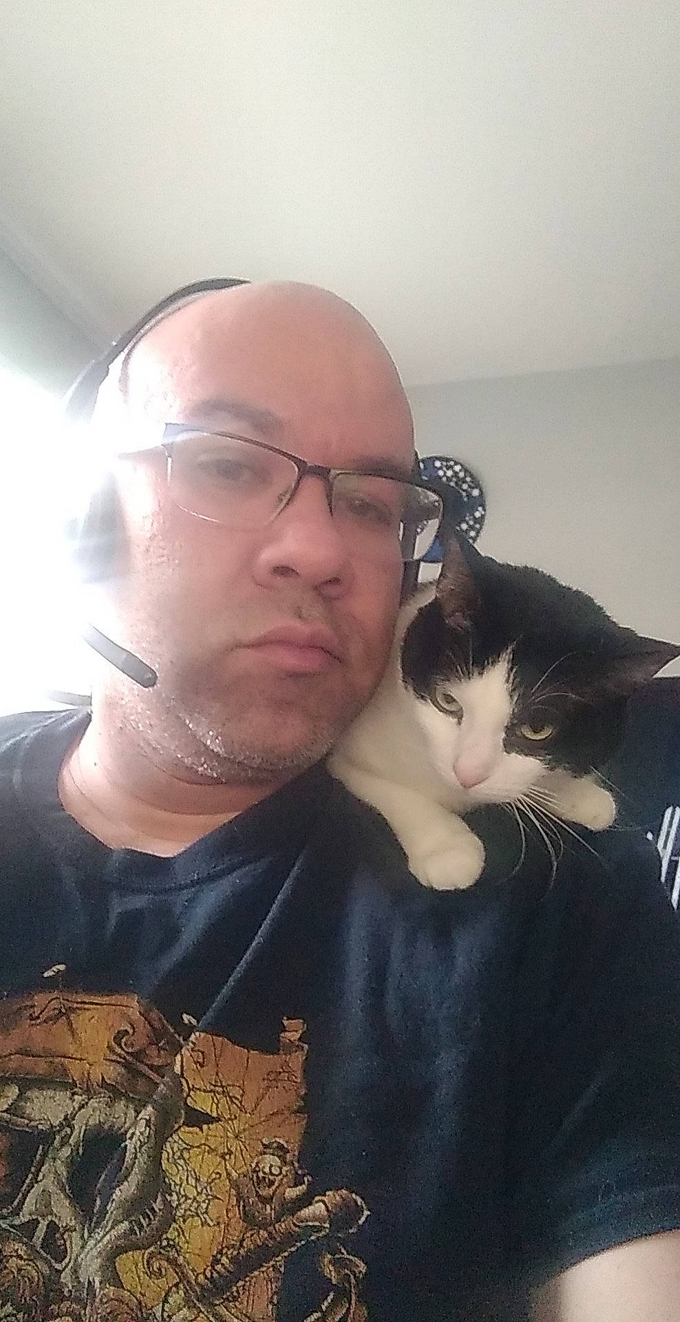 Jazzi joined the competition — help win amazing prizes! beard, carnivore, cat, comfort, cool, domestic_short_haired_cat, ear, eyewear, facial_hair, felidae, formal_wear, fur, gesture, glasses, jaw, moustache, organ, small_to_medium_sized_cats, vision_care, whiskers