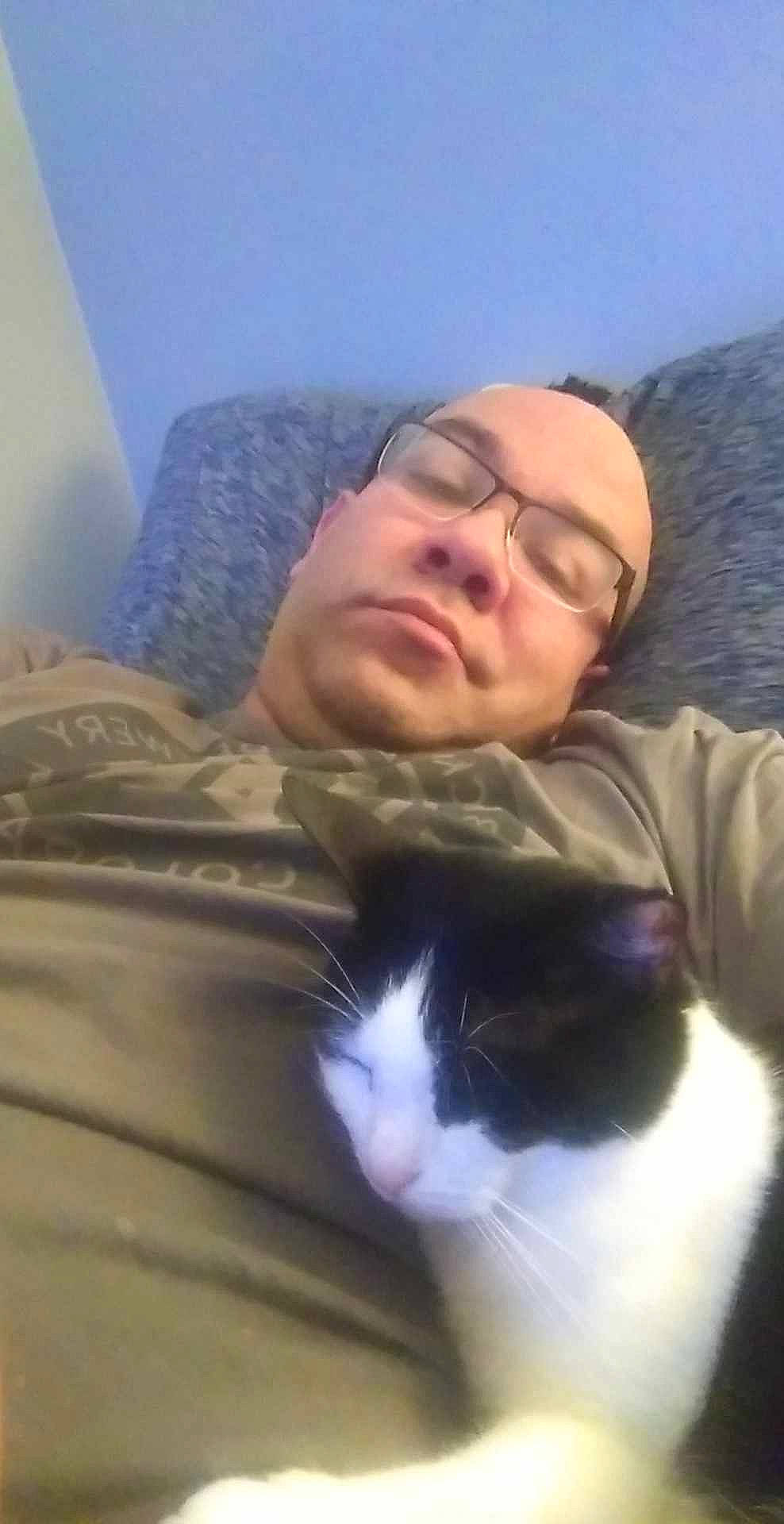 Jazzi joined the competition — help win amazing prizes! beard, carnivore, cat, comfort, domestic_short_haired_cat, eyewear, facial_hair, felidae, fur, happy, head, lap, linens, nose, sitting, sleeve, small_to_medium_sized_cats, snout, tail, whiskers