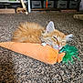kitten, orange_cat, plush_toy, carrot_toy, sleeping, indoor, carpet, pet, cute, feline, cozy, toy, furry, relaxed, animal, resting, home, floor, small_cat, domestic_cat