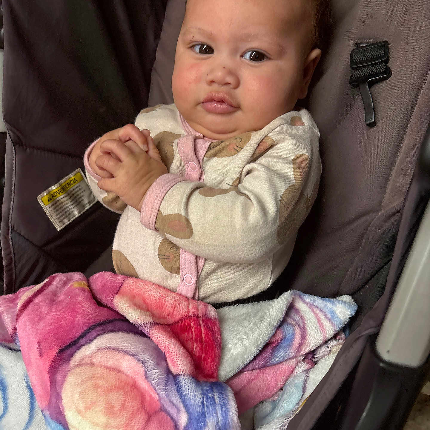 Katherine Wheeler is registered to the contest to win money with this photo: baby, blanket, bundle, child, clothing, colorful, cozy, cute, expression, face, hands, indoor, infant, person, portrait, seated, soft, stroller, warm, young