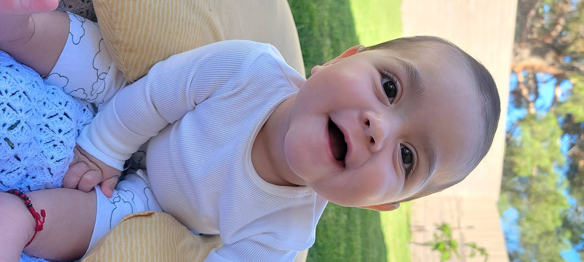 Lauro is registered to the contest to win money with this photo: baby, baby_toddler_clothing, cheek, dress, face, finger, grass, happy, human_body, leisure, lip, mouth, nose, people_in_nature, person, plant, skin, smile, toddler, tree