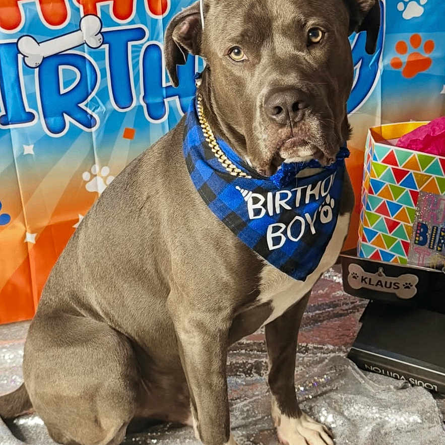 Klaus
