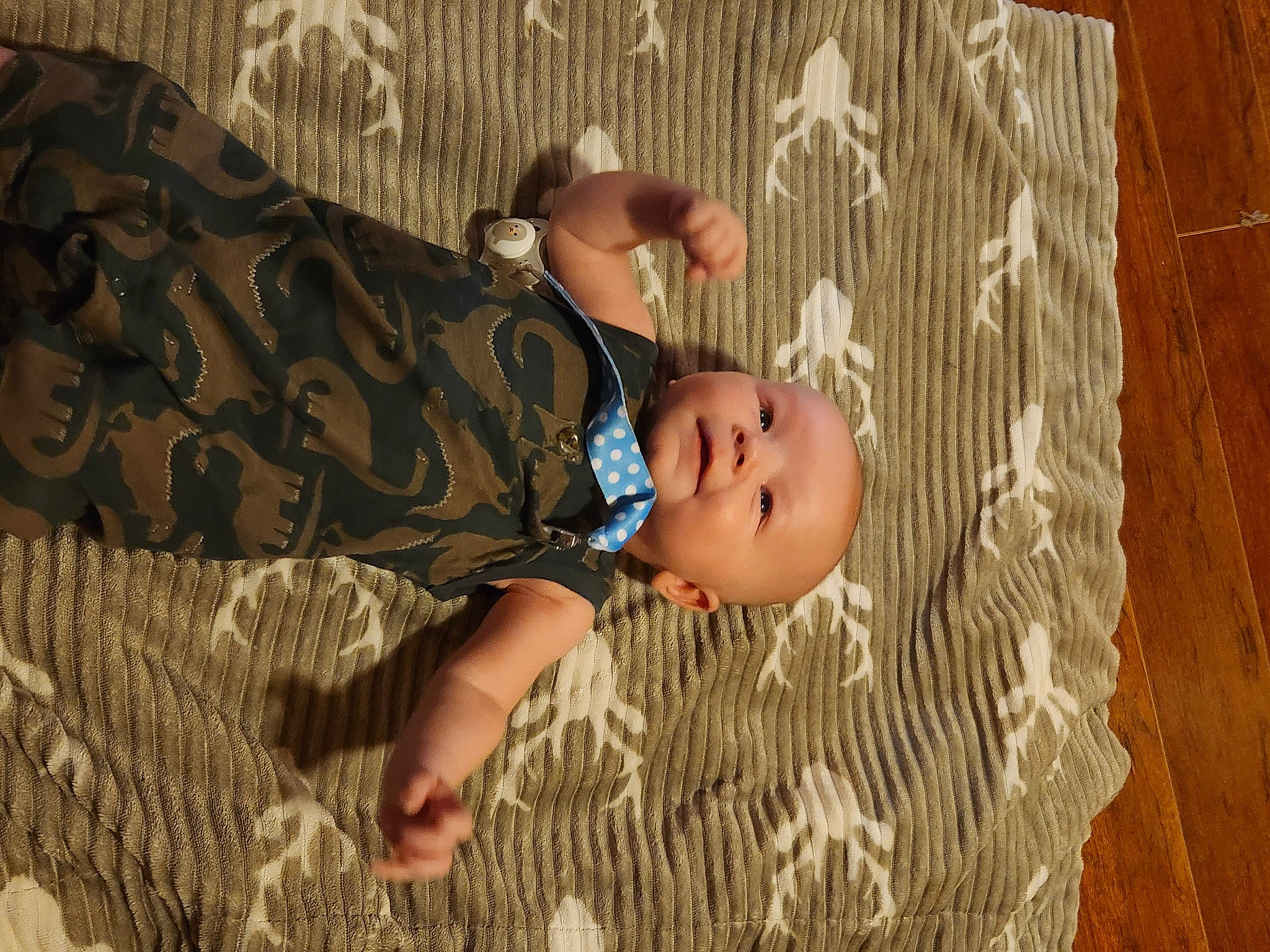 Zachary joined the competition — help win amazing prizes! baby, baby_toddler_clothing, beauty, brown, child, flooring, grass, grassland, happy, hardwood, leaf, pattern, people_in_nature, person, prairie, skin, toddler, tree, wood, wood_stain