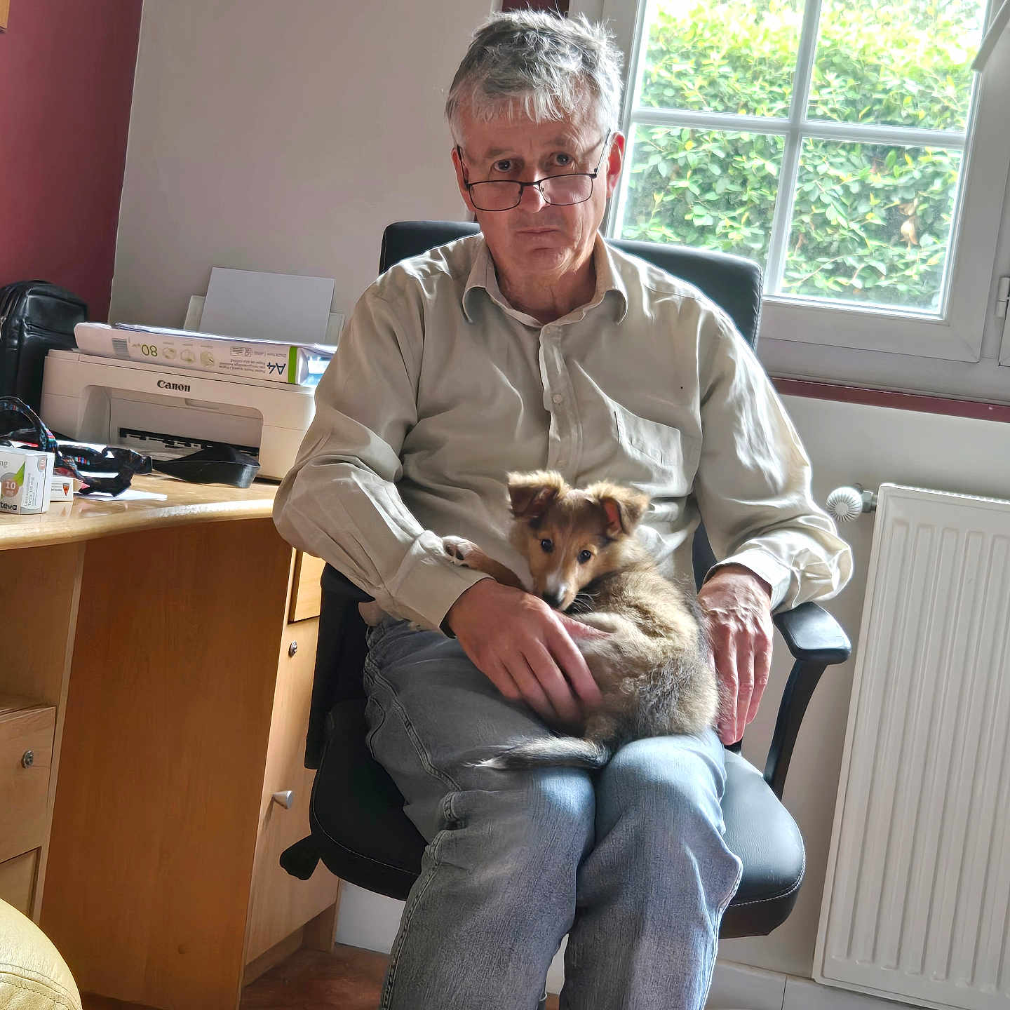 Boby a rejoint le concours — aidez-le/la à gagner de superbes lots ! man, person, puppy, dog, pet, sitting, chair, glasses, shirt, jeans, office, home, window, sunlight, printer, desk, cabinet, radiator, indoors, portrait