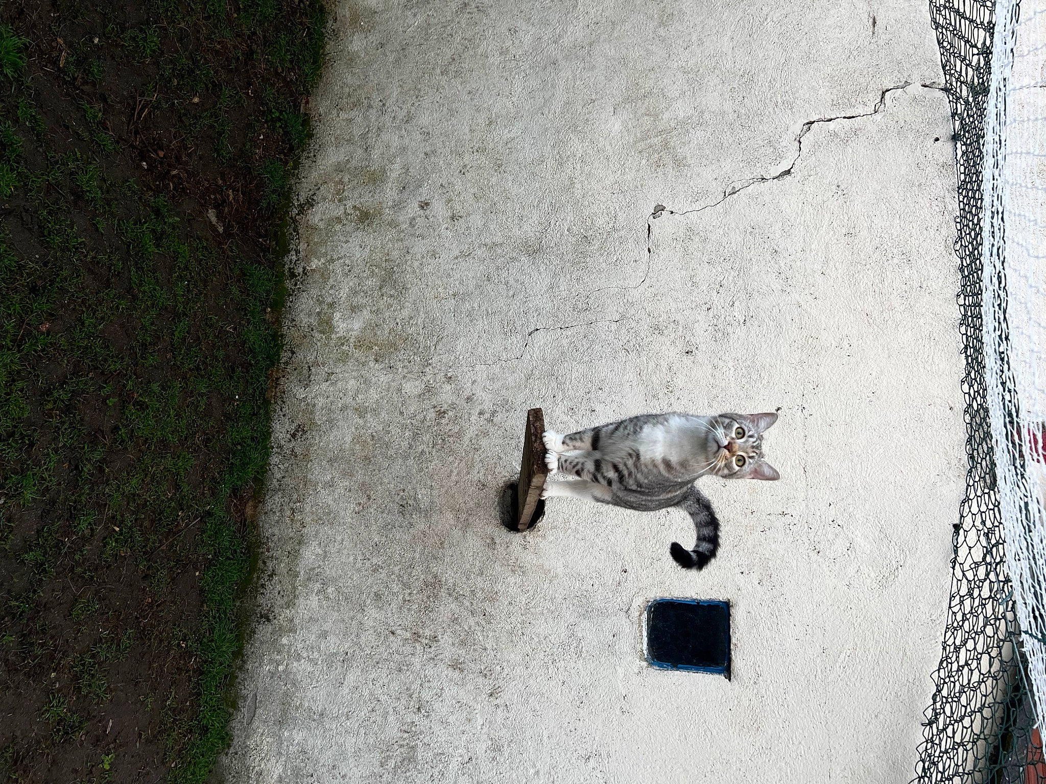 Titou participe au concours pour gagner de l'argent avec cette photo : asphalt, brick, cobblestone, concrete, curb, flooring, grass, grey, monochrome, monochrome_photography, road, road_surface, shadow, sidewalk, sitting, soil, still_life_photography, street, tar, wood