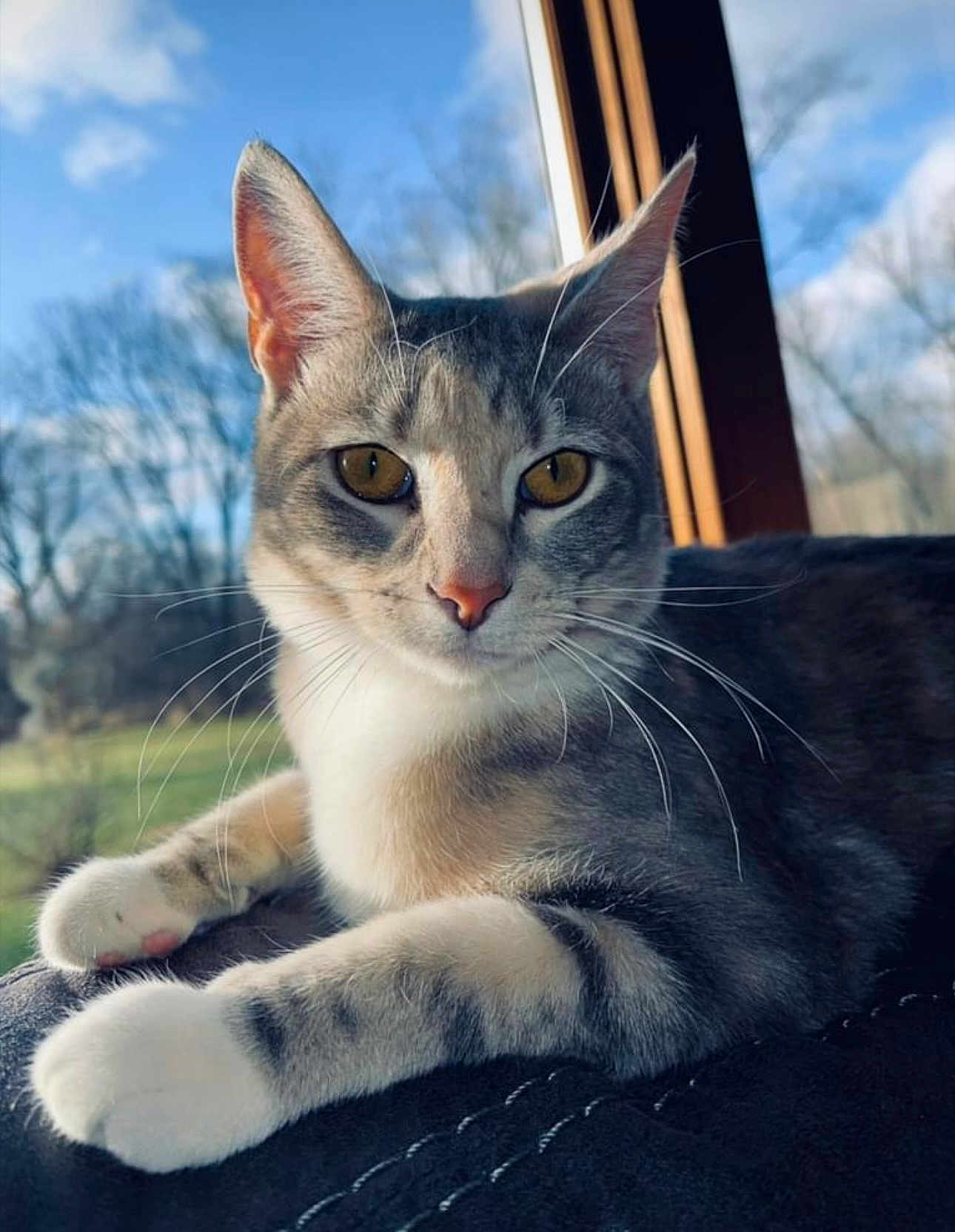 Luna