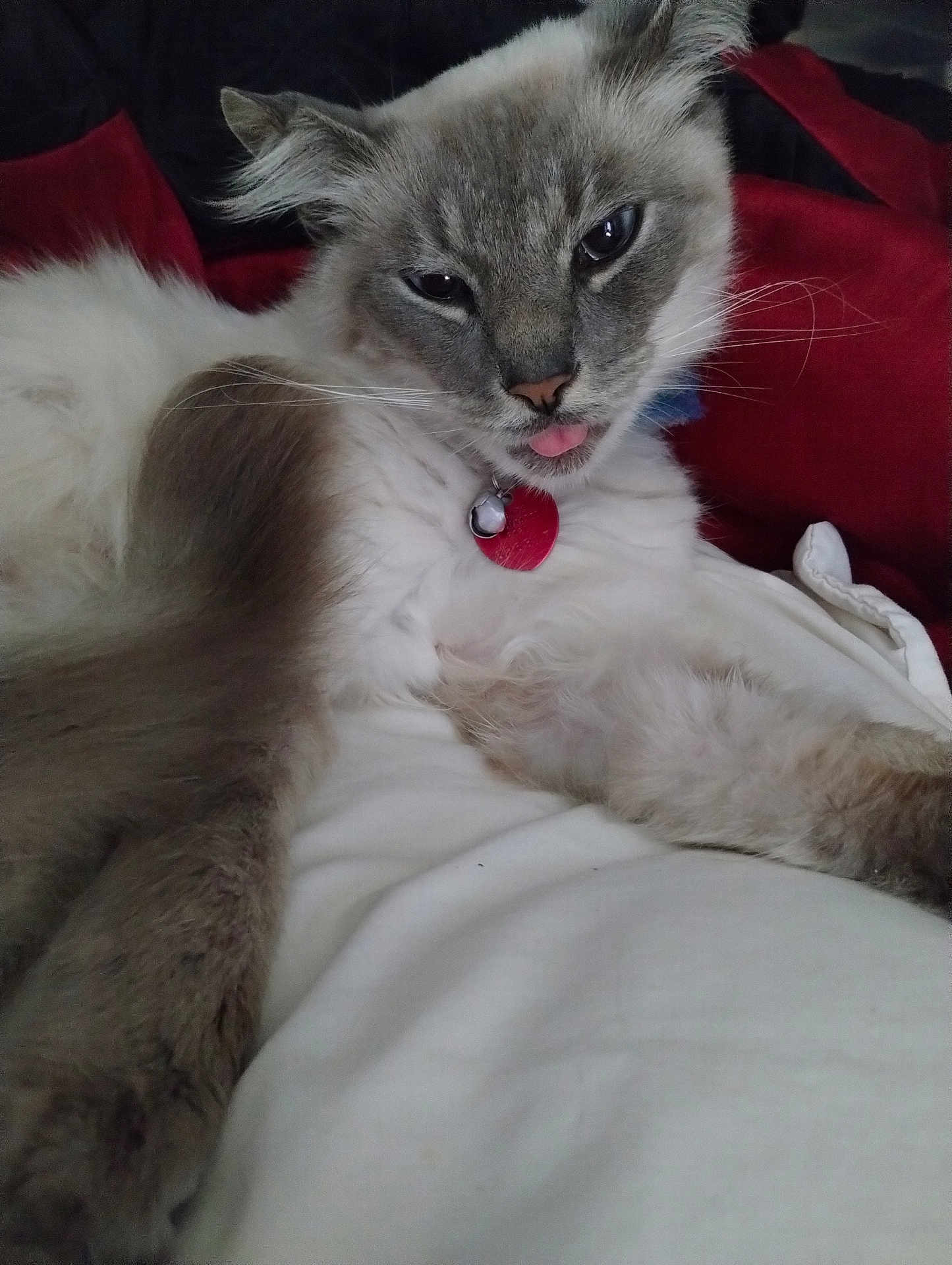 Casper