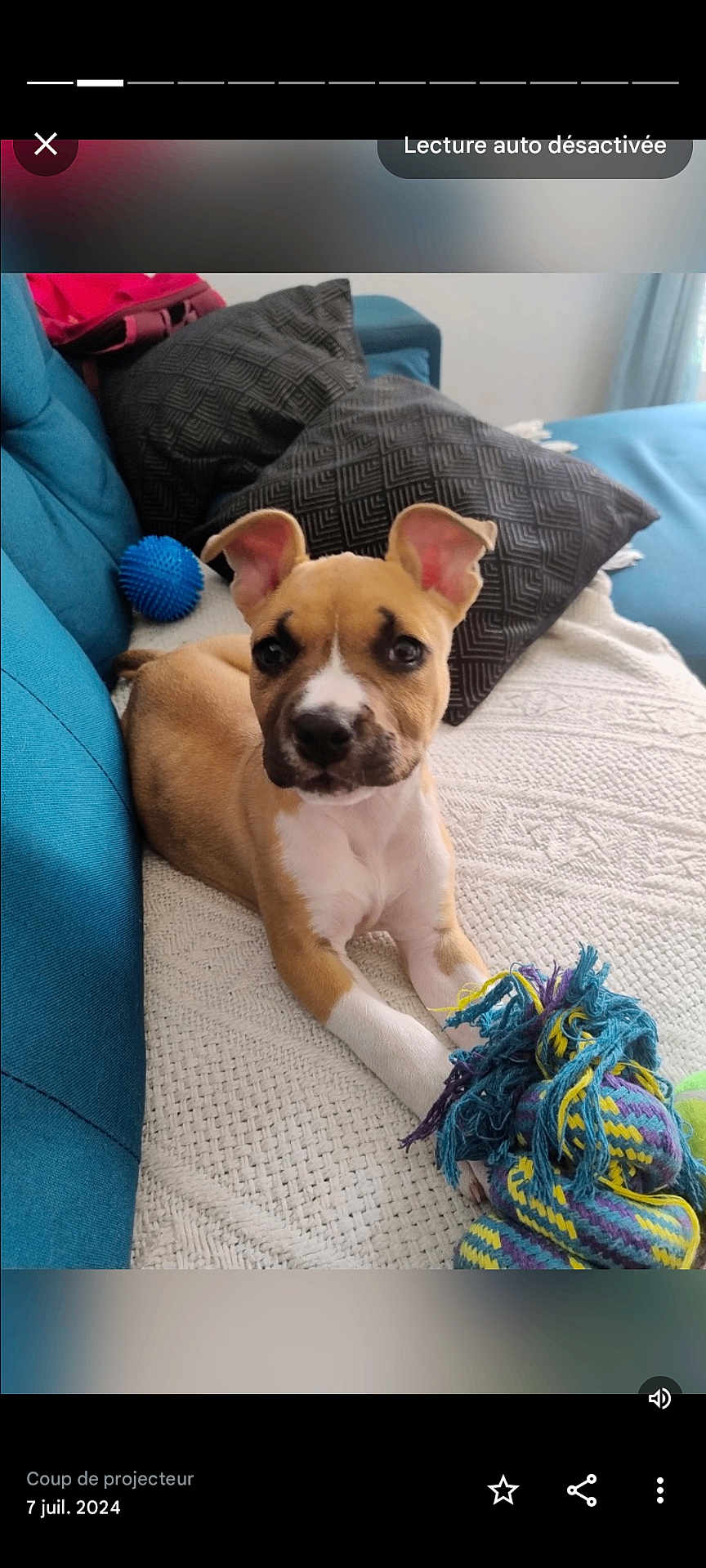 Xena