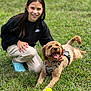 Bro Bro Bear is registered to the contest to win money with this photo: child, girl, dog, grass, tennis_ball, smiling, outdoor, pet, happy, panting, casual_clothing, black_sweatshirt, beige_pants, blue_crocs, harness, playful, sunlight, nature, greenery, companionship