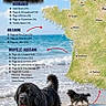 dog, beach, map, ocean, water, sand, black_dog, text_overlay, coastline, sky, cloud, region, travel, vacation, outdoor, pet, animal, portrait, sea, nature