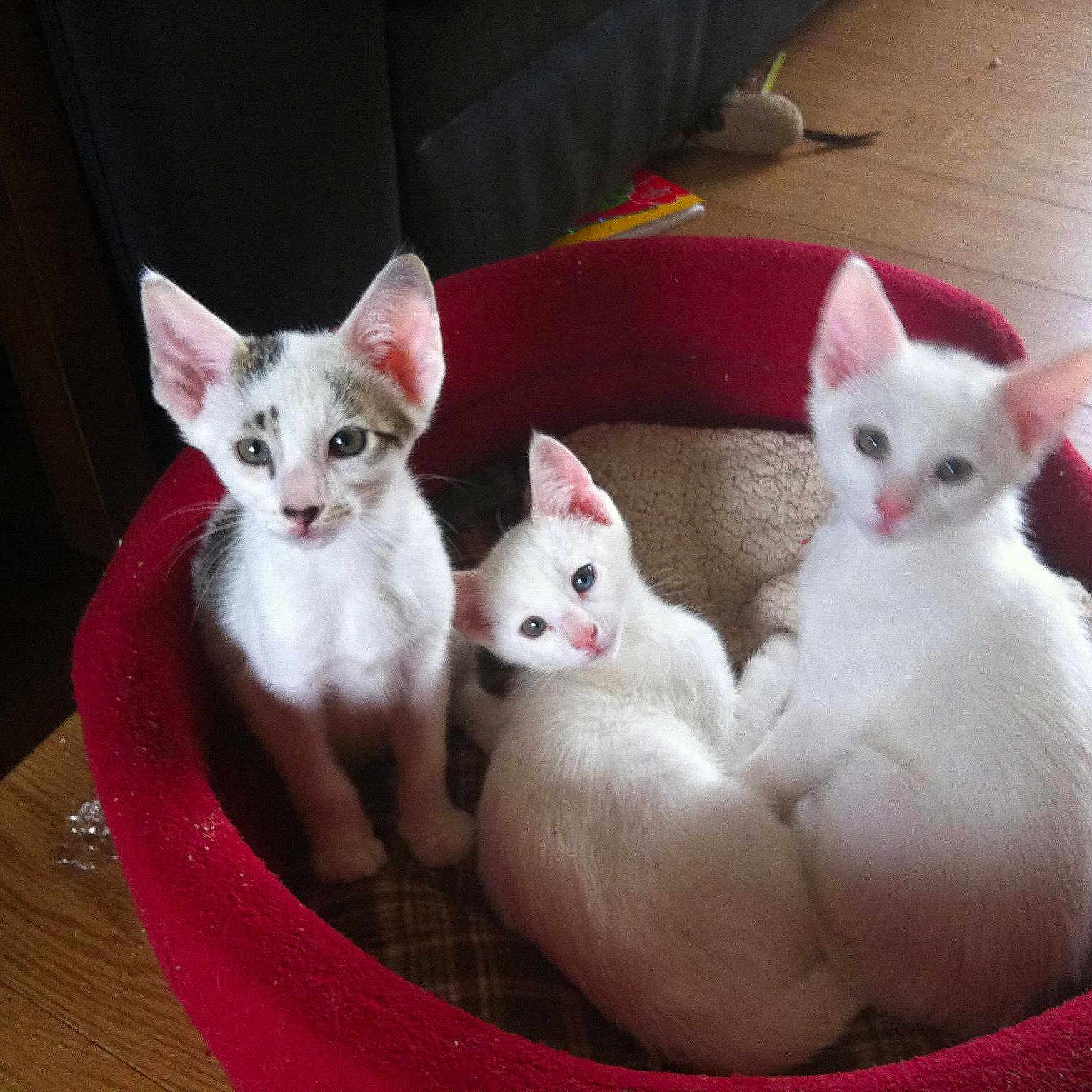 Jeremy joined the competition — help win amazing prizes!