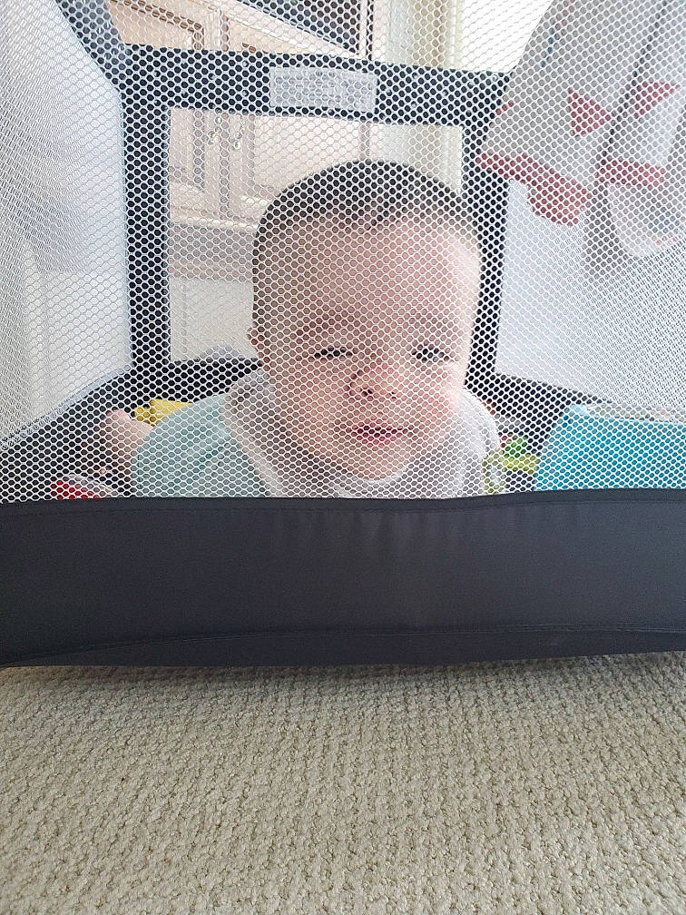 Freya joined the competition — help win amazing prizes! baby, carpet, chair, comfort, floor, flooring, glass, hardwood, linens, mesh, pattern, person, rectangle, room, sitting, smile, square, table, tints_and_shades, toddler