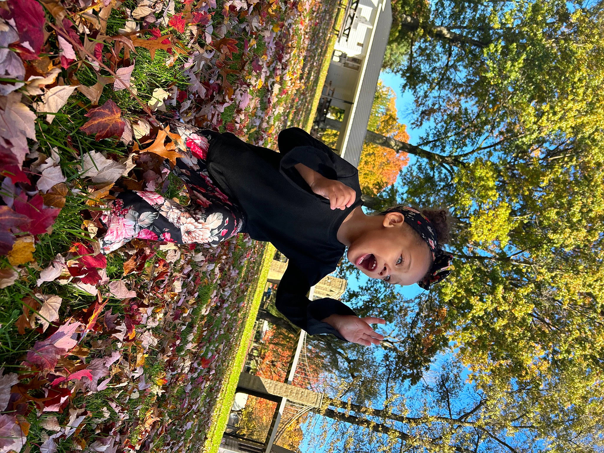 Zariyah is registered to the contest to win money with this photo: autumn, beauty, botany, city, deciduous, fun, grass, happy, human_settlement, leisure, people_in_nature, person, recreation, sky, spring, surprise, t_shirt, tree