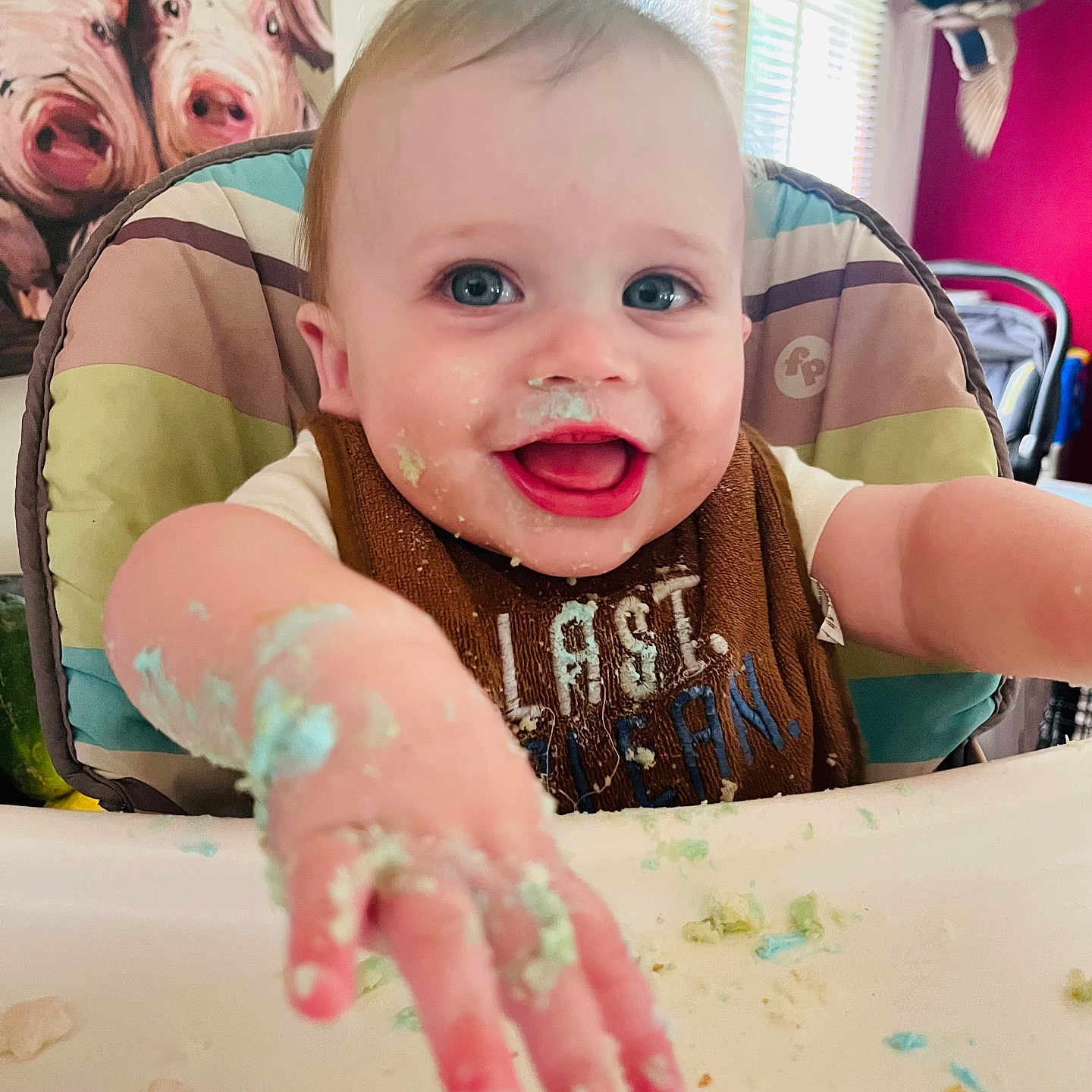 Brooks is registered to the contest to win money with this photo: animal, baby, bodypart, chair, cream, cutlery, dessert, face, finger, furniture, hand, happy, head, laughing, person, photography, pig, portrait, spoon, table