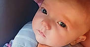 Jewlez joined the competition — help win amazing prizes! baby, infant, child, car_seat, harness, seatbelt, portrait, close_up, wide_eyes, calm, vehicle_interior, sitting, padded_seat, pink, orange, gray, floral_clothing, safety, indoors, photograph