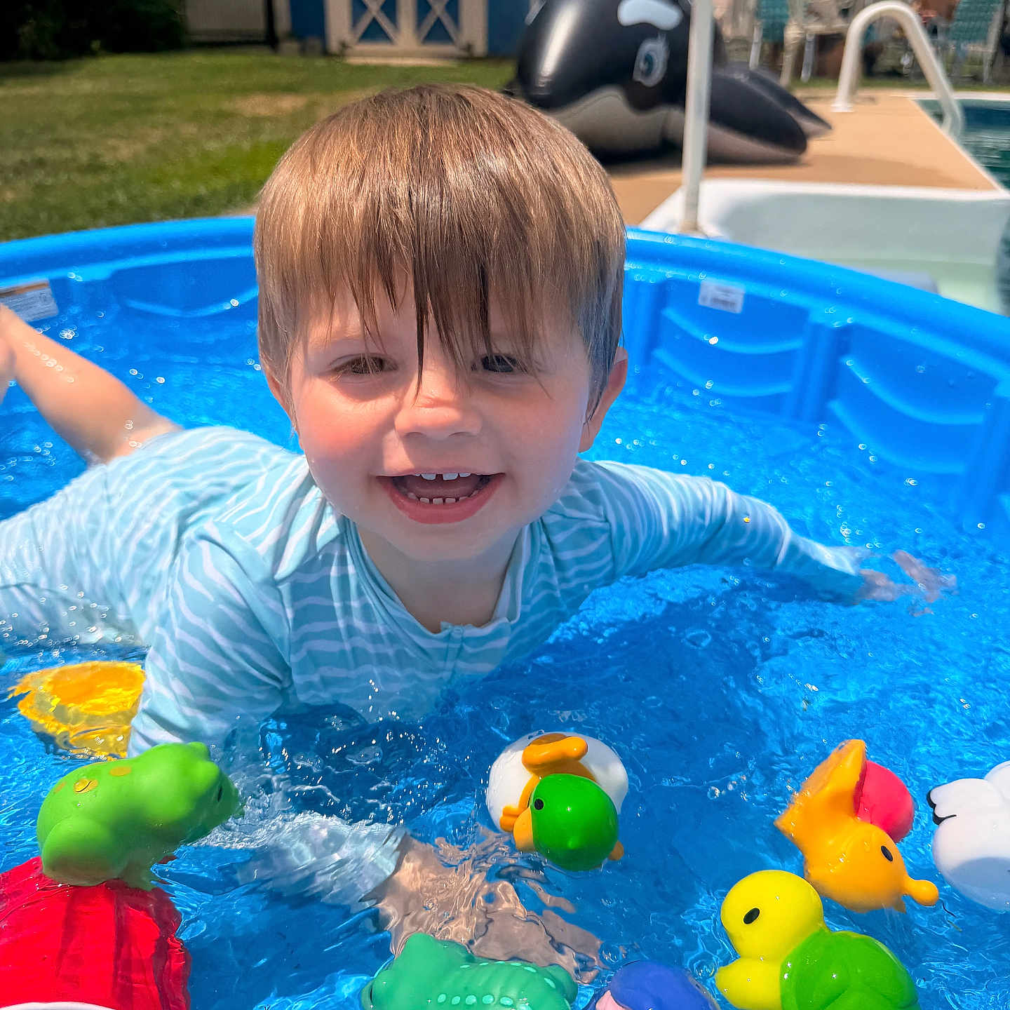 Mateo is registered to the contest to win money with this photo: toddler, child, pool, water, toy, float, summer, outdoor, play, smile, happy, blue, backyard, plastic, swimwear, wet_hair, daylight, fun, recreation, person