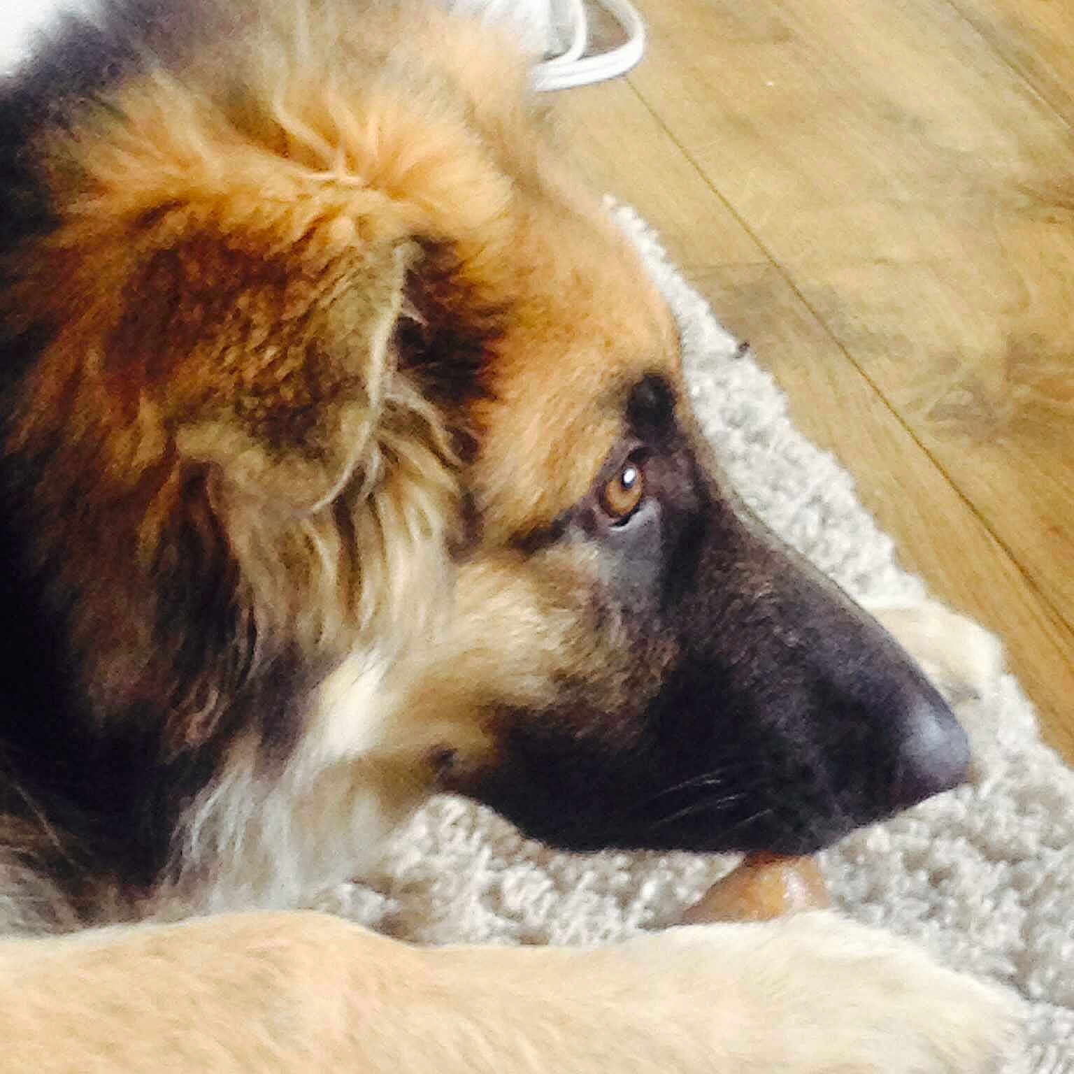 Sasha joined the competition — help win amazing prizes!