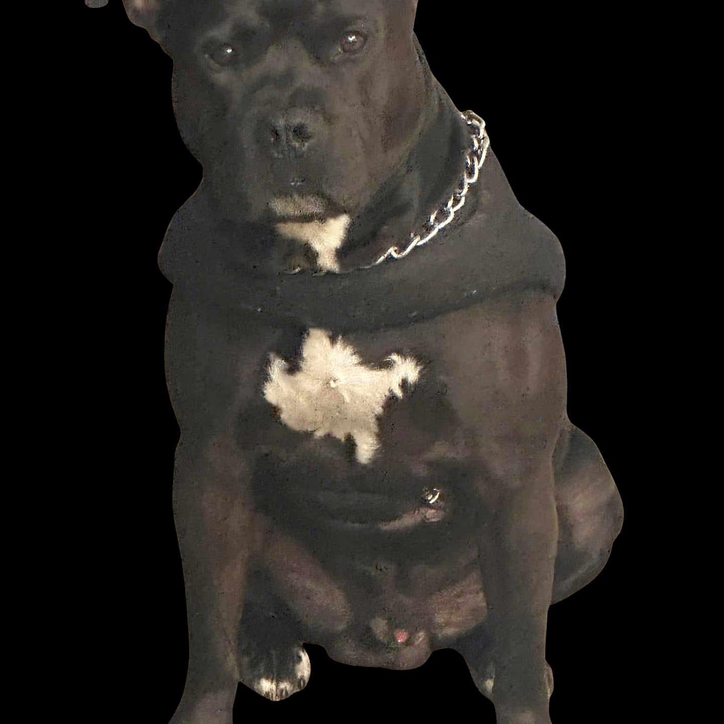 Draco