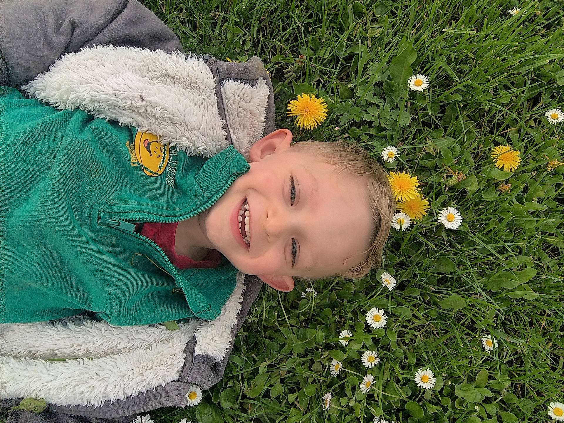 Elrick participe au concours pour gagner de l'argent avec cette photo : anemone, baby, clothing, coat, daisy, face, flower, grass, head, herbal, herbs, jacket, knitwear, lawn, person, petal, photography, plant, portrait, sweater
