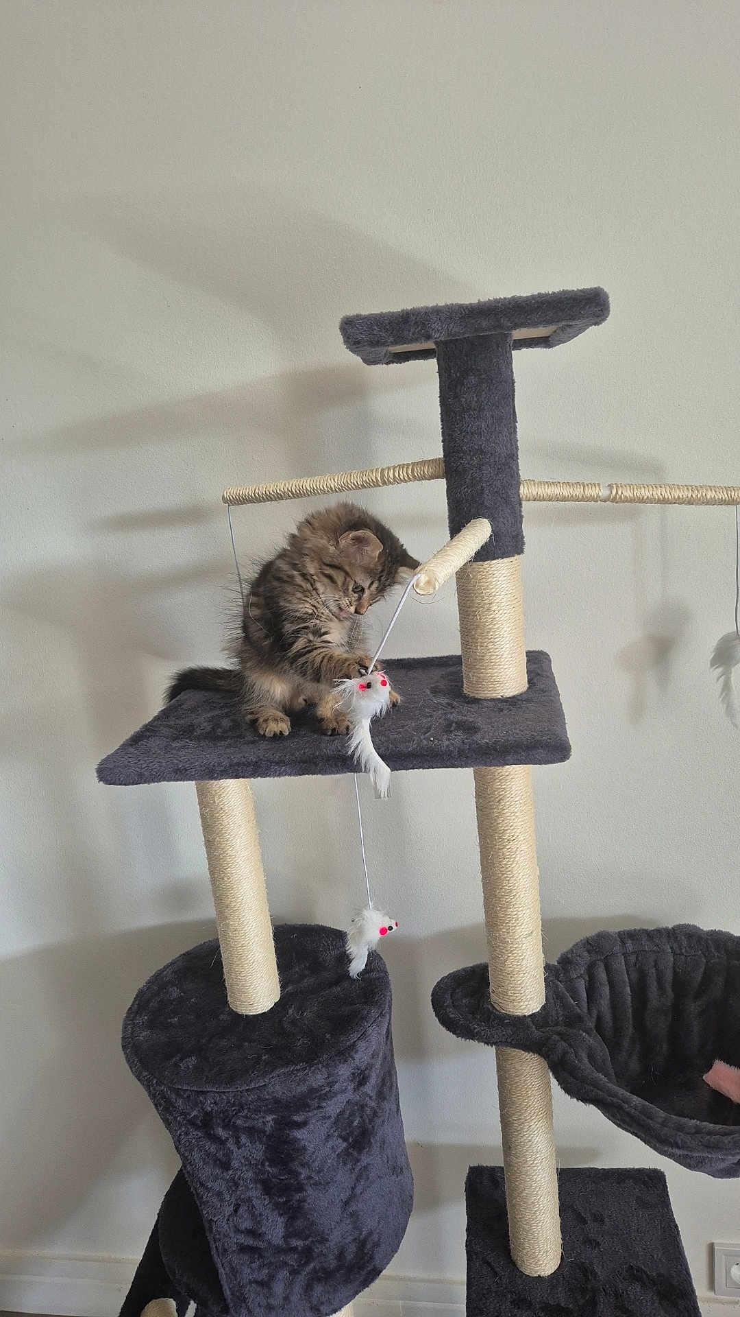 Nalla
