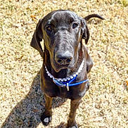 Willow is registered to the contest to win money with this photo: