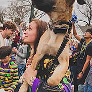 Cypress Rose joined the competition — help win amazing prizes! dog, person, woman, crowd, parade, beads, street_sign, tattoo, child, teen, celebration, festival, leash, collar, outdoor, house, trees, smiling, holding, costume