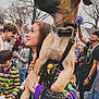 dog, person, woman, crowd, parade, beads, street_sign, tattoo, child, teen, celebration, festival, leash, collar, outdoor, house, trees, smiling, holding, costume