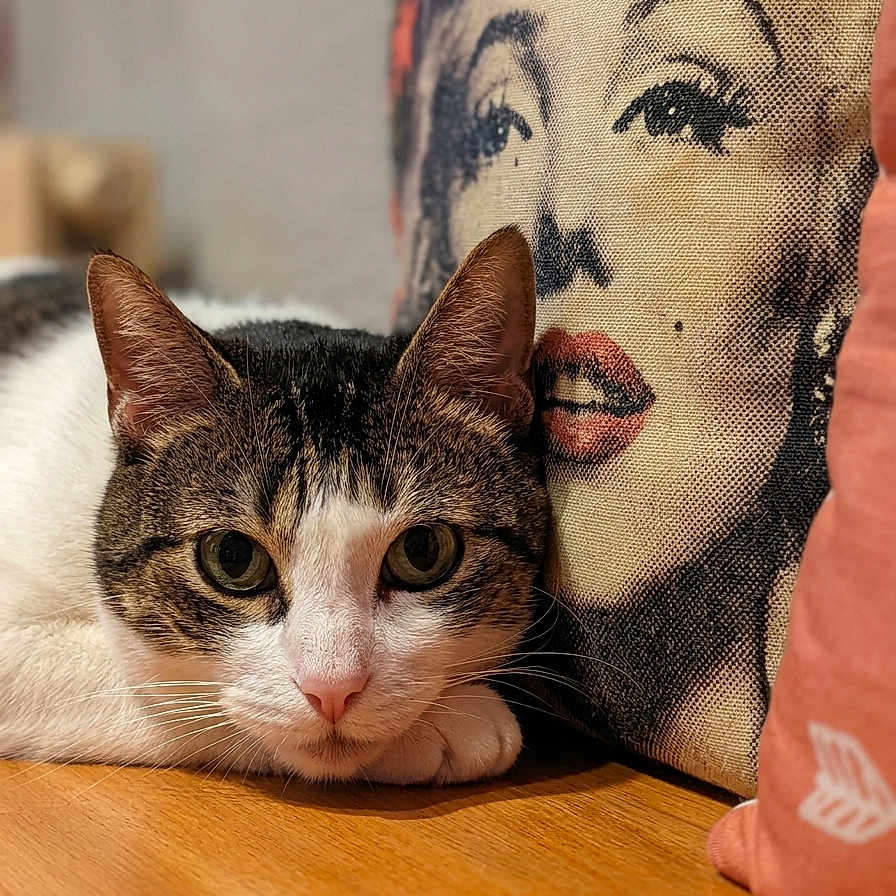 Nala