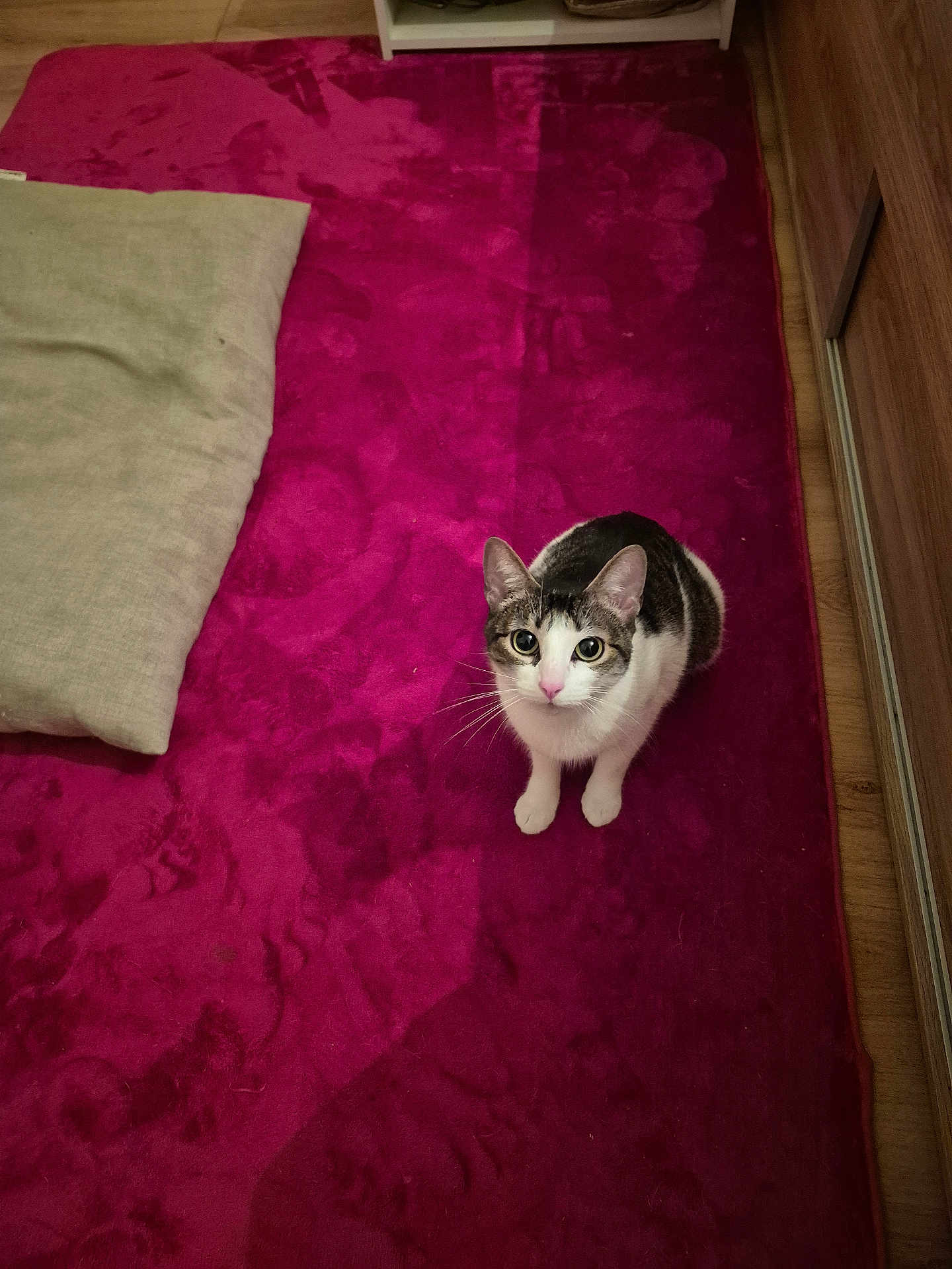 Nala