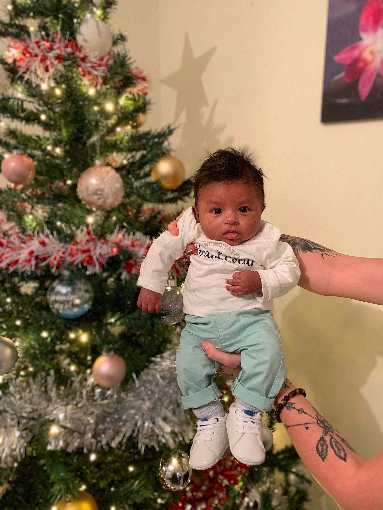 Keylan participe au concours pour gagner de l'argent avec cette photo : baby_toddler_clothing, black, christmas_decoration, christmas_ornament, christmas_tree, evergreen, facial_expression, green, hair, happy, holiday_ornament, ornament, people, people_in_nature, person, photograph, red, sleeve, standing, toddler