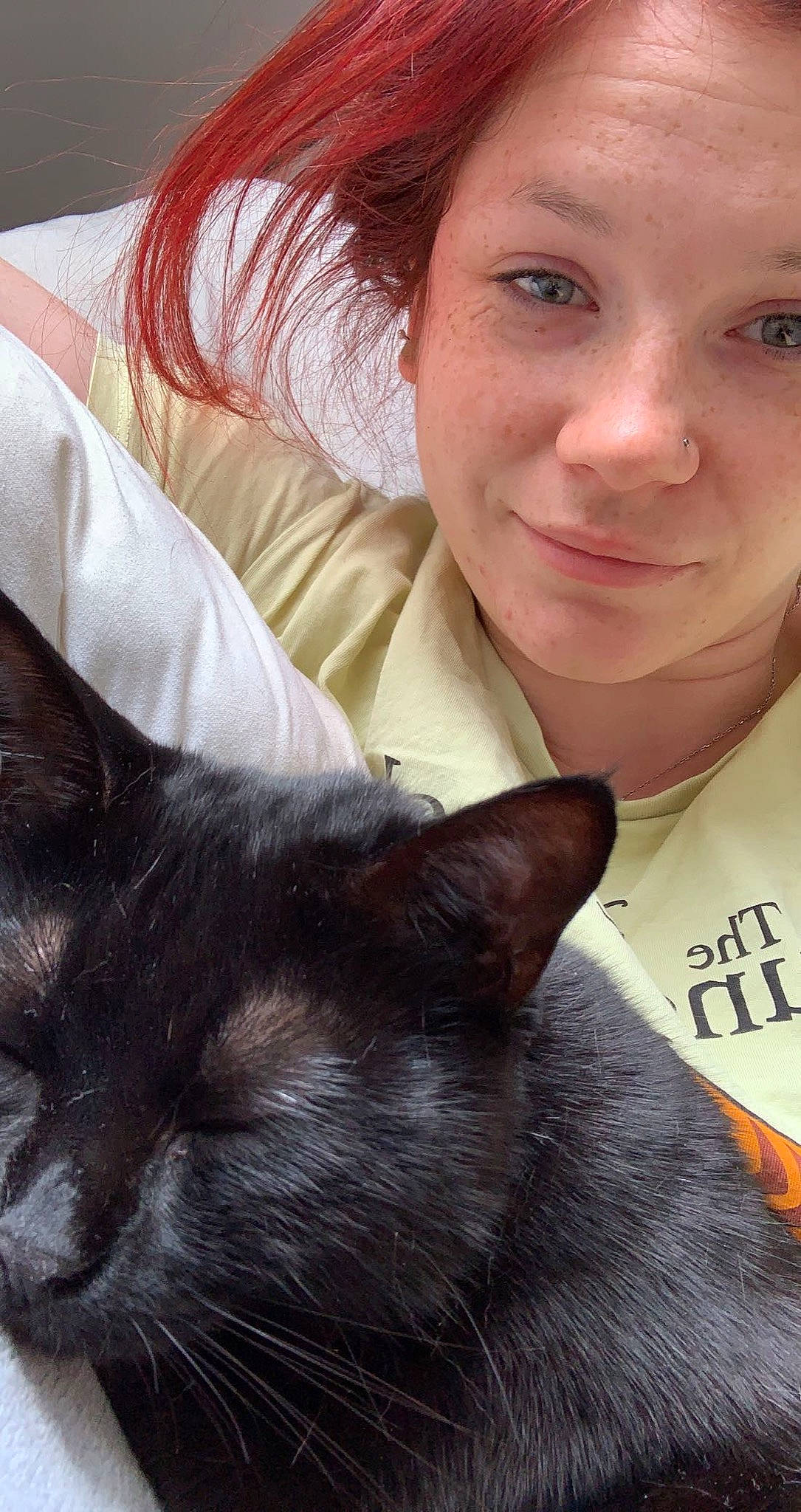 Rina participe au concours pour gagner de l'argent avec cette photo : beard, carnivore, cat, ear, eye, eyebrow, face, felidae, gesture, hair, head, iris, jaw, lip, mouth, nose, organ, skin, smile, vertebrate