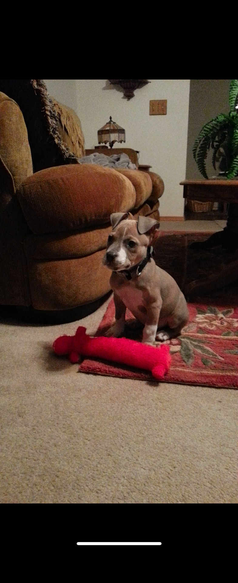 Zeke