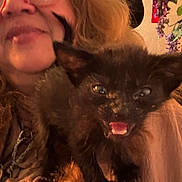 Wednesday is registered to the contest to win money with this photo: person, cat, kitten, black_cat, indoor, smiling, glasses, hair, face, pet, animal, cute, closeup, happy, feline, young_cat, expression, orange_lighting, flower, background