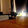 Timothy is registered to the contest to win money with this photo: animal, black_and_white, blurred_background, cat, close_up, cozy, curious, domestic, ears, face, feline, home, indoor, lighting, pet, resting, speaker, table, whiskers, wooden_surface
