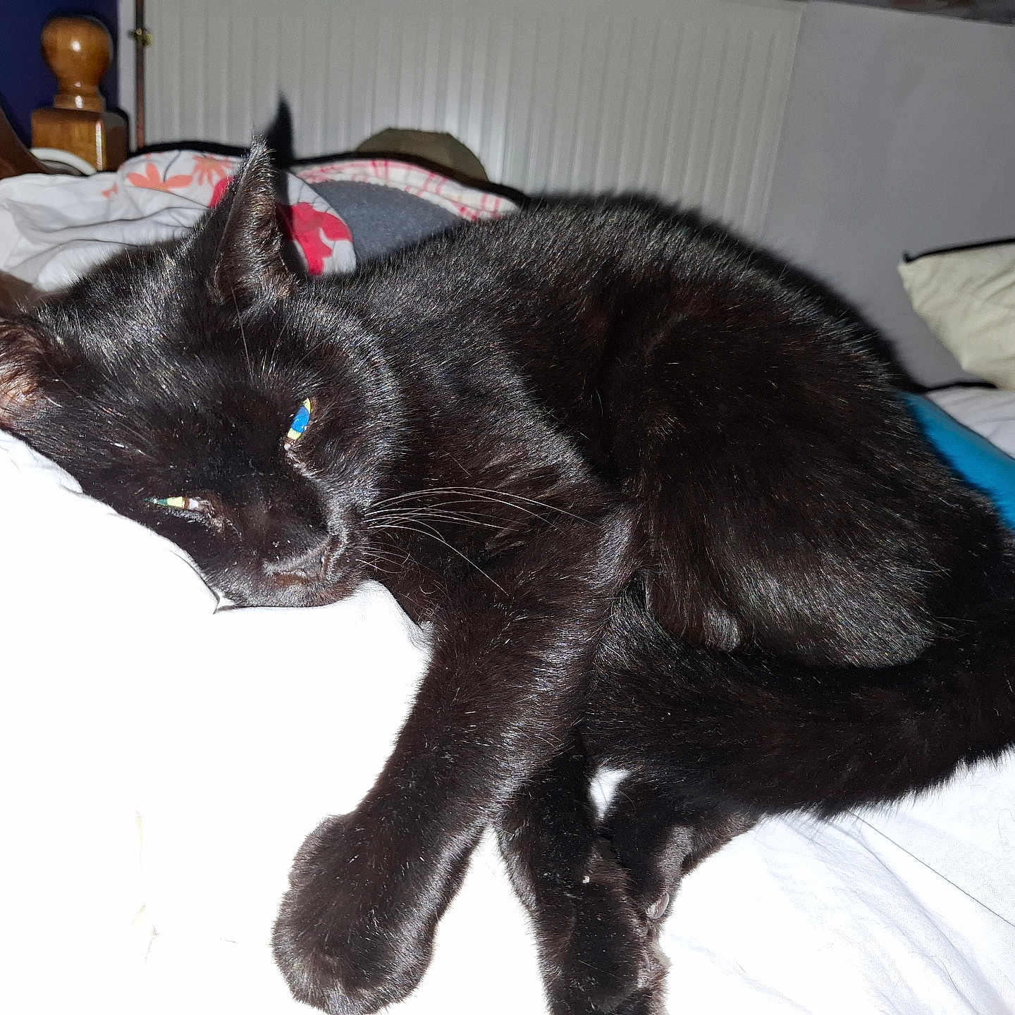 Jack