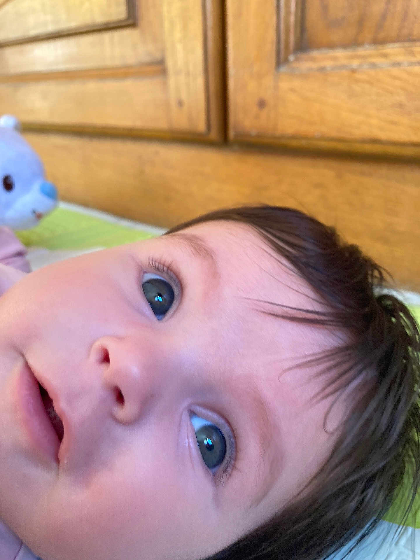 Ella participe au concours pour gagner de l'argent avec cette photo : baby, close_up, face, blue_eyes, dark_hair, infant, curious, soft_toys, stuffed_animal, wooden_background, indoor, portrait, child, skin, expression, lying_down, candid, person, cute, young