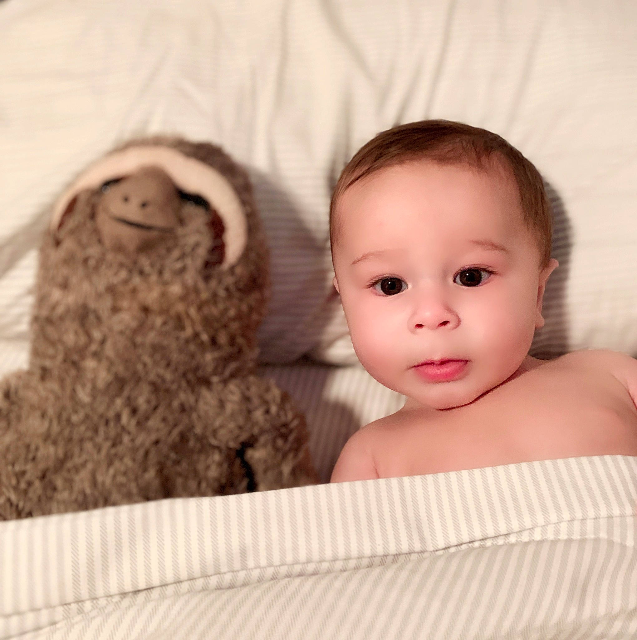 Hawk joined the competition — help win amazing prizes! baby, brown_hair, child, comfort, companion_dog, eyelash, flash_photography, fur, happy, linens, liver, mammal, person, room, sitting, stuffed_toy, terrestrial_animal, toddler, toy, vertebrate