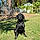 Nellie