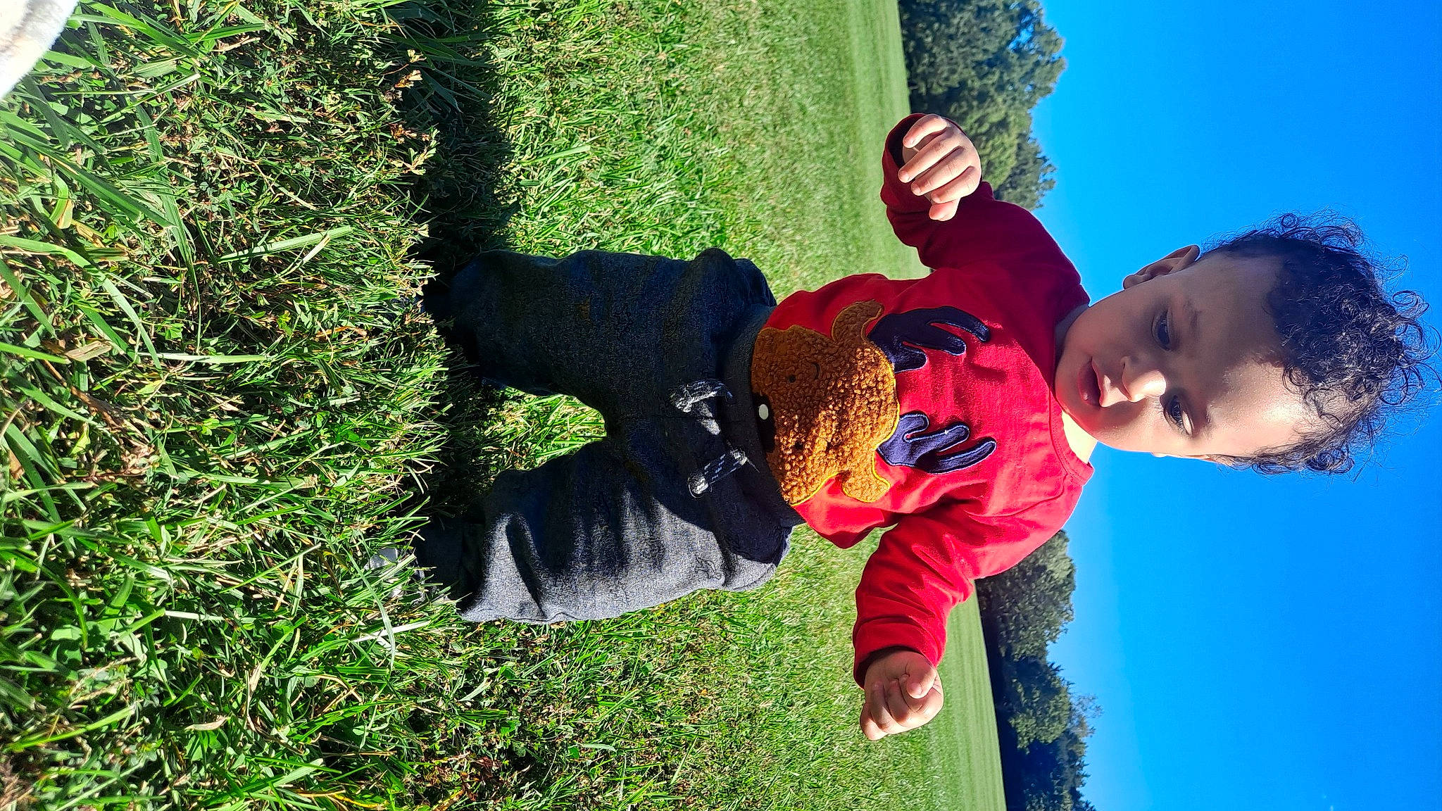 Emmanuel is registered to the contest to win money with this photo: adaptation, fun, gesture, grass, grass_family, grassland, groundcover, happy, leaf, leisure, organism, people_in_nature, person, plant, play, recreation, sky, toddler, tree, wilderness