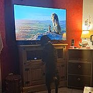 Titan participe au concours pour gagner de l'argent avec cette photo : animal, black_dog, cozy, cub, curious, dog, furniture, indoor, lamp, light, lion, living_room, nature_scene, remote_control, rock, screen, standing, television, watching, wooden_cabinet