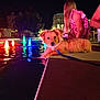 dog, night, pool, colorful_lights, water, reflection, person, sitting, leash, casual, outdoor, relaxing, building, tree, concrete, dress, phone, animal, pet, evening