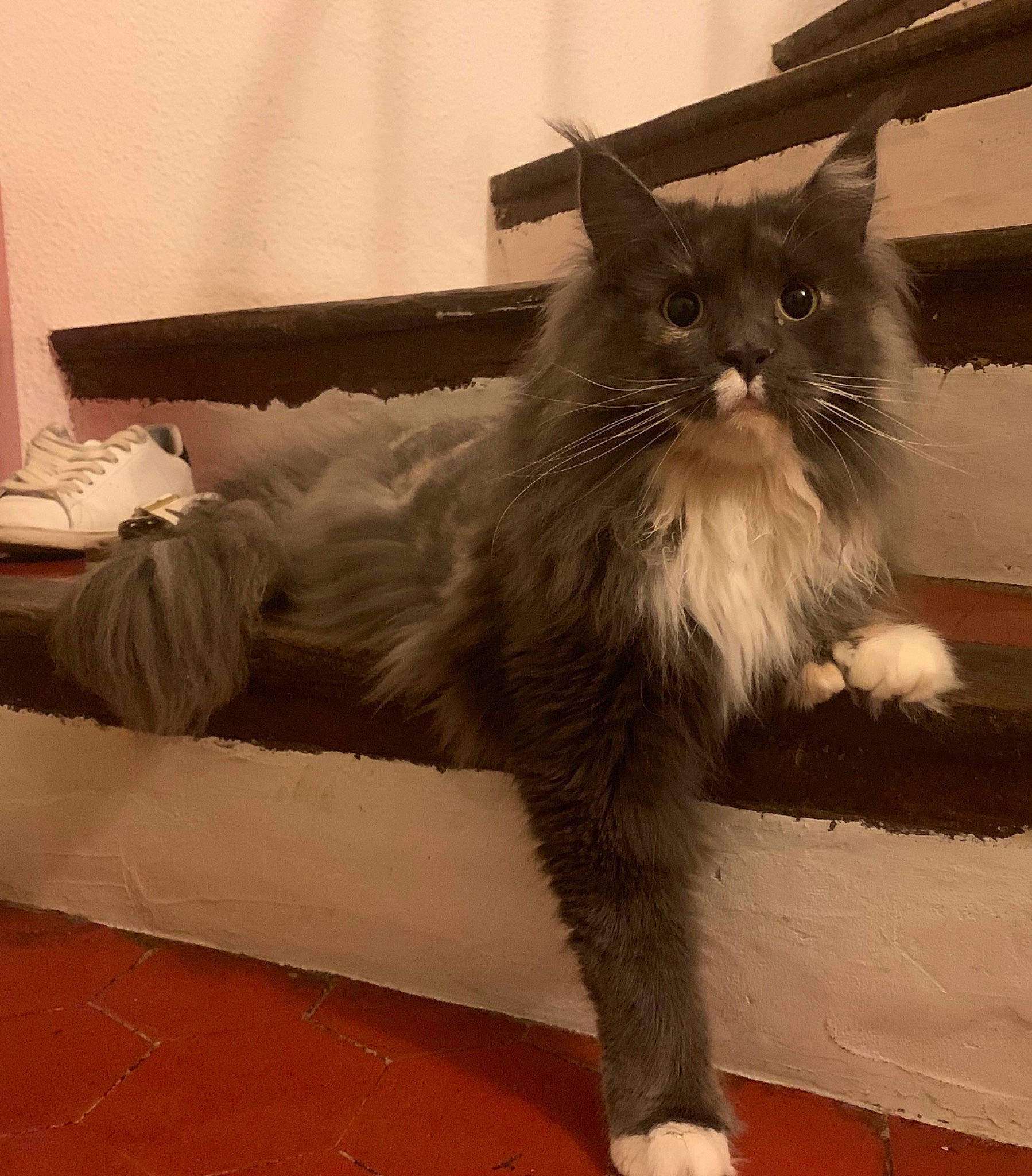 Ora Des Coons De Kent